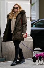 RACHEL HILBERT Out with Her Dog in New York 11/14/2017