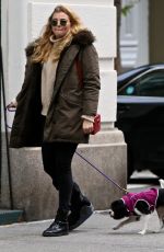RACHEL HILBERT Out with Her Dog in New York 11/14/2017