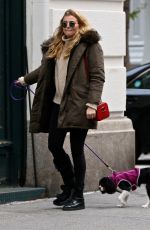 RACHEL HILBERT Out with Her Dog in New York 11/14/2017