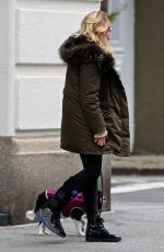 RACHEL HILBERT Out with Her Dog in New York 11/14/2017
