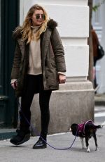 RACHEL HILBERT Out with Her Dog in New York 11/14/2017