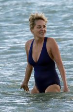 SHARON STONE in Swimsuit at a Beach in Miami 11/03/2017