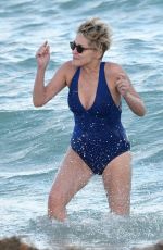 SHARON STONE in Swimsuit at a Beach in Miami 11/03/2017