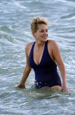 SHARON STONE in Swimsuit at a Beach in Miami 11/03/2017