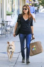SELMA BLAIR Out with Her Dog in Los Angeles 11/14/2017