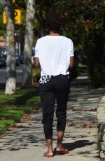 SHANOLA HAMPTON Out and About in Los Angeles 11/28/2017