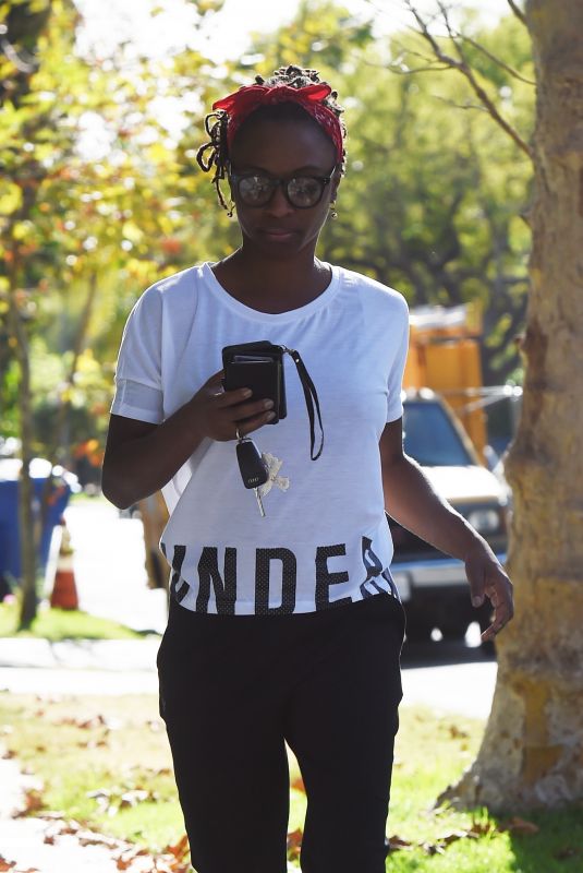 SHANOLA HAMPTON Out and About in Los Angeles 11/28/2017