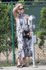 SHARON STONE Out and About in Beverly Hills 11/11/2017