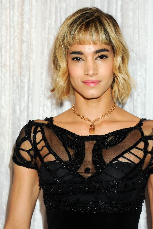 SOFIA BOUTELLA at Fred Hollows Foundation Inaugural Fundraising Gala in Los Angeles 11/15/2017