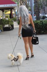 SOPHIA VEGAS WOLLERSHEIM adn PHOEBE PRICE Out in Beverly Hills 11/05/2017