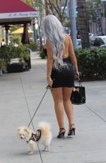 SOPHIA VEGAS WOLLERSHEIM adn PHOEBE PRICE Out in Beverly Hills 11/05/2017