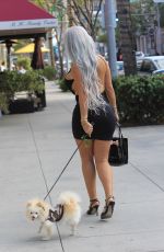 SOPHIA VEGAS WOLLERSHEIM adn PHOEBE PRICE Out in Beverly Hills 11/05/2017