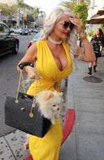 SOPHIA WOLLERSHEIM Out for Lunch in Los Angeles 11/10/2017