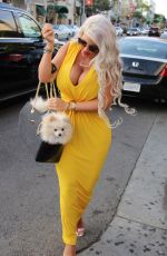 SOPHIA WOLLERSHEIM Out for Lunch in Los Angeles 11/10/2017