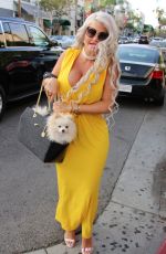 SOPHIA WOLLERSHEIM Out for Lunch in Los Angeles 11/10/2017