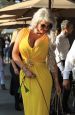 SOPHIA WOLLERSHEIM Out for Lunch in Los Angeles 11/10/2017