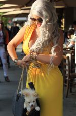 SOPHIA WOLLERSHEIM Out for Lunch in Los Angeles 11/10/2017