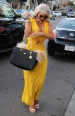 SOPHIA WOLLERSHEIM Out for Lunch in Los Angeles 11/10/2017