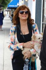 SUSAN SARANDON Out and About in Studio City 10/30/2017