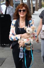 SUSAN SARANDON Out and About in Studio City 10/30/2017