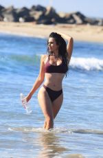 TANIA MARIE in Bikini for 138 Water Photoshoot in Venice Beach 11/13/2017