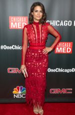 TORREY DEVITTO at 3rd Annual NBC One Chicago Party in Chicago 10/31/2017