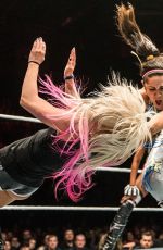 WWE - Live in Birmingham 11/072017