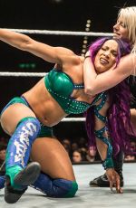 WWE - Live in Birmingham 11/072017