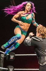 WWE - Live in Birmingham 11/072017