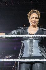 WWE - Live in Birmingham 11/072017