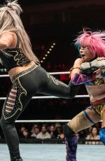 WWE - Live in Birmingham 11/072017