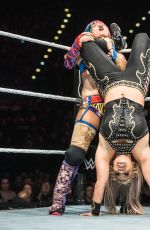 WWE - Live in Birmingham 11/072017