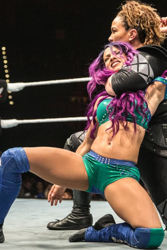 WWE - Live in Birmingham 11/072017