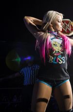 WWE - Live in Brighton 11/02/2017