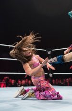 WWE - Live in Brighton 11/02/2017