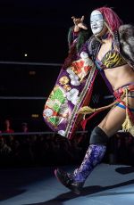 WWE - Live in Brighton 11/02/2017