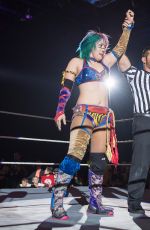 WWE - Live in Cardiff 11/05/2017