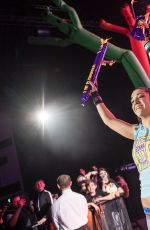 WWE - Live in Cardiff 11/05/2017