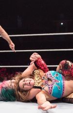 WWE - Live in Glasgow 11/01/2017