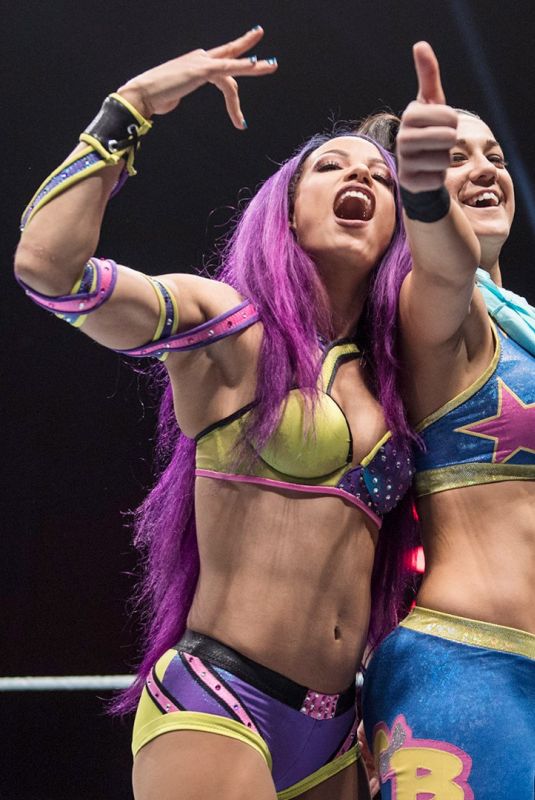 WWE - Live in Glasgow 11/01/2017