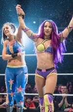 WWE - Live in Glasgow 11/01/2017
