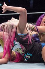 WWE - Live in Glasgow 11/01/2017