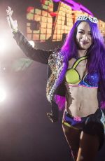 WWE - Live in Glasgow 11/01/2017