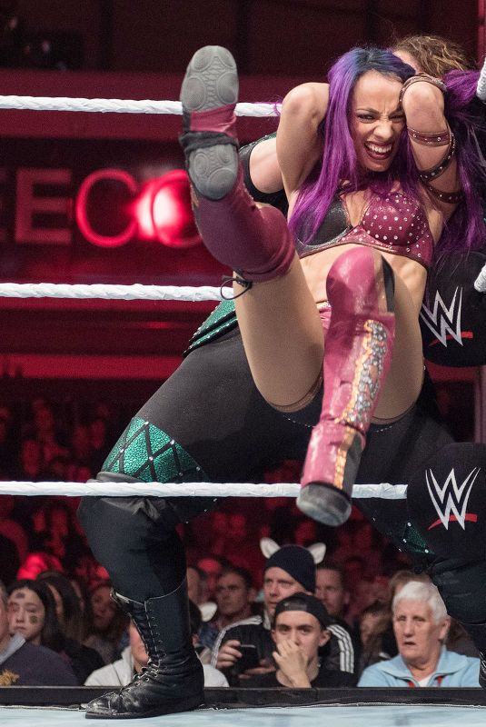 WWE - Live in Minehead 11/04/2017