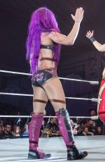 WWE - Live in Minehead 11/04/2017