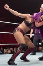 WWE - Live in Minehead 11/04/2017