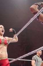 WWE - Live in Minehead 11/04/2017