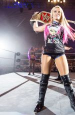 WWE - Live in Minehead 11/04/2017