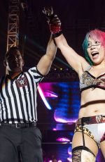 WWE - Live in Minehead 11/04/2017