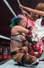 WWE - Live in Minehead 11/04/2017